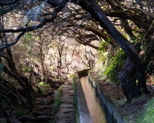 Levada wandeling Madeira