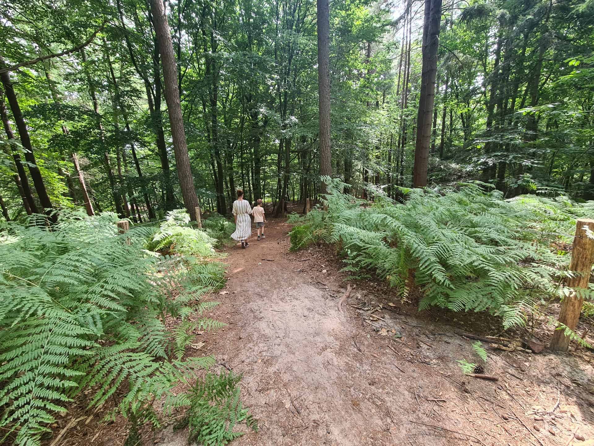 Le bonheur de Louise vakantiehuis - Wandelen in het Muziekbos